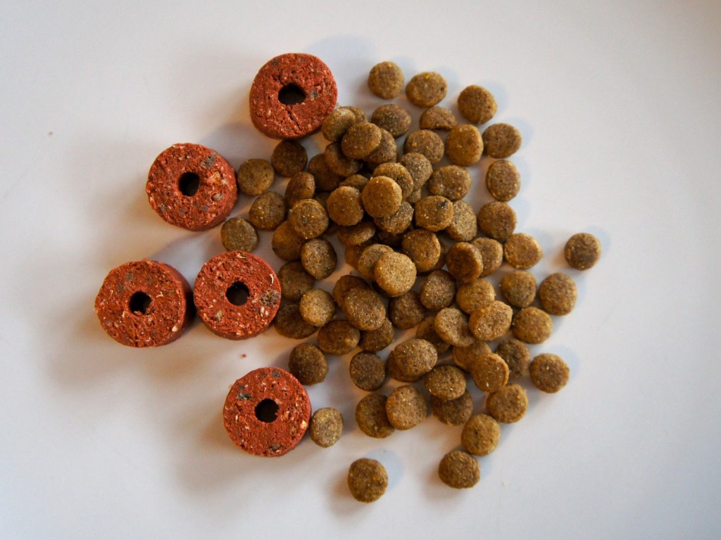 Croquettes ou boîtes, que choisir pour son chaton ? Le blog de la ferme