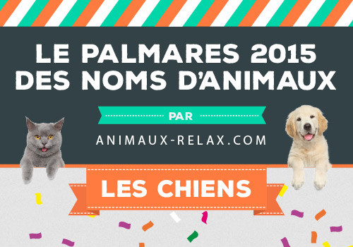 Le Palmares 15 Des Noms D Animaux De Compagnie Polytrans