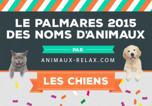 Actualites Du Monde Canin