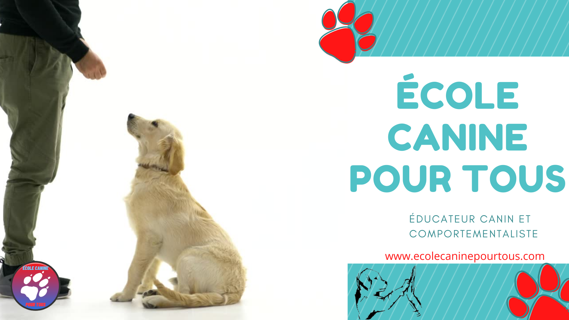 ÉCOLE CANINE POUR TOUS, éducateur comportementaliste canin