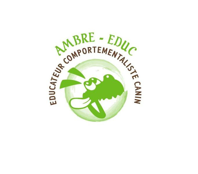 AMBRE EDUC education comportement*