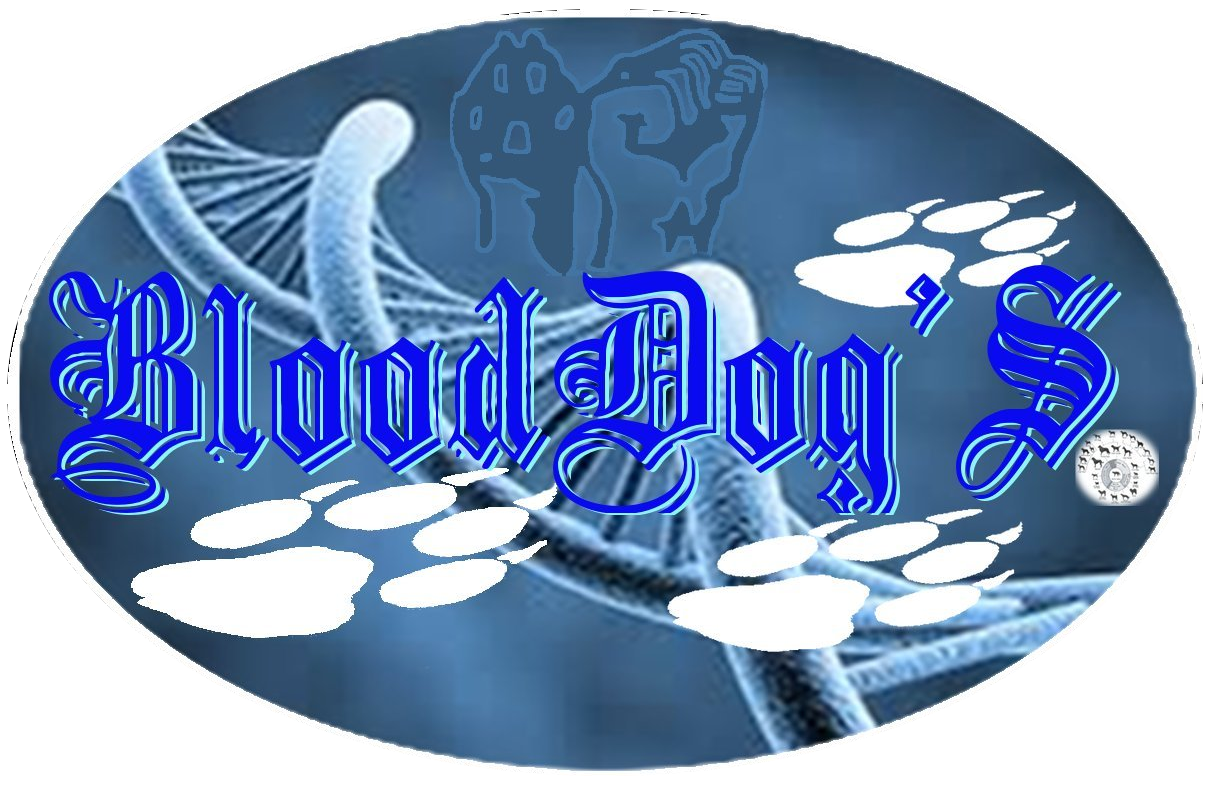BLOOD DOG'S eleveur canin*