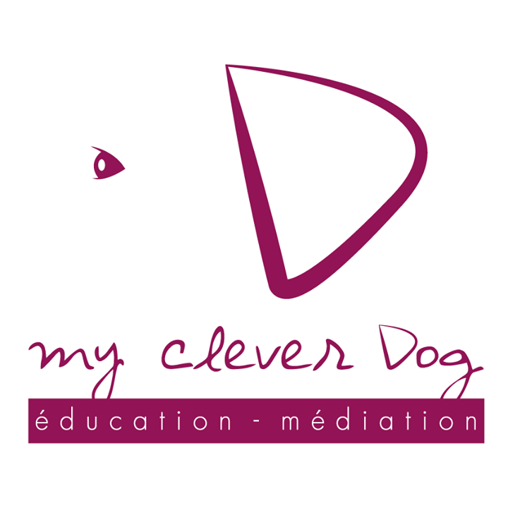 MY CLEVER DOGM dressage canin*