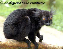 Bienvenue chez Zoologistes Sans Frontières *