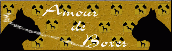AMOUR de BOXER - FORUM *
