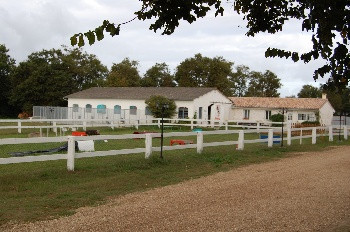 Elevage Pension DOMAINE DES RINTINTINS Berger Allemand *
