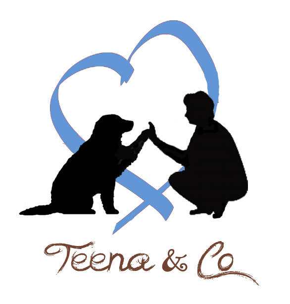 TEENA & CO Educateur Canin Comportementaliste à domicile*