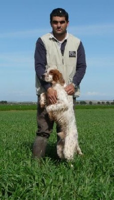 Elevage RIO PARANA Multirace canine