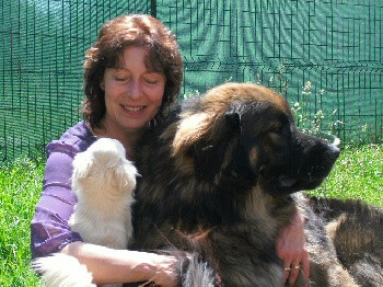 Elevage DES AMOURS DE LEO Leonberger *