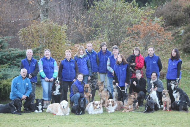 Education canine, pour bien vivre avec son chien *