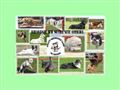 Club canin dressage Le CREUSOT AOC