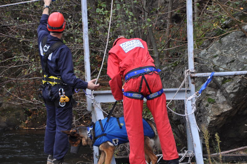AUI-ONG Action d'Urgence Internationale formation maitre chien de catastrophe