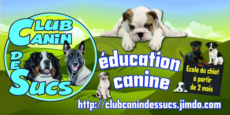 Club Canin DES SUCS*