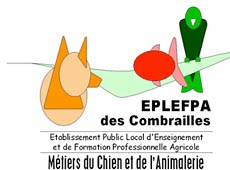 EPLEFPA de Combrailles, formation aux metiers du chiens