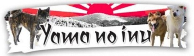 élevage LES YAMA NO INU akita inu et eurasier*