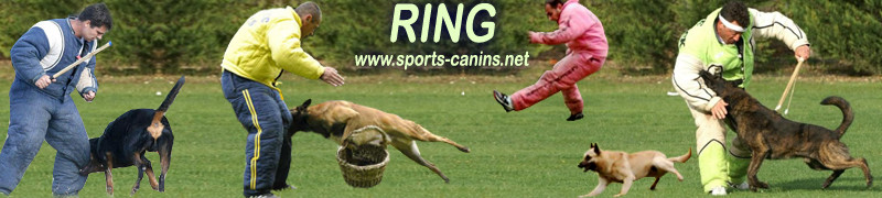 Sports canins, Ring, Mondioring, Campagne, Pistage, RCI, Obeissance*