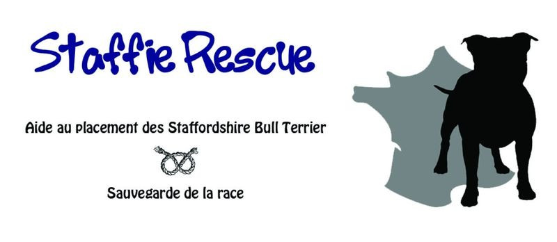 association STAFFIE RESCUE FRANCE*