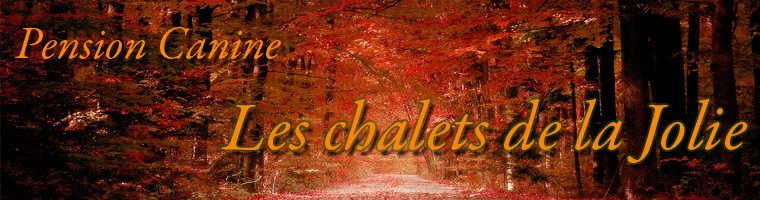 CHALET DE LA JOLIE Pension canine *