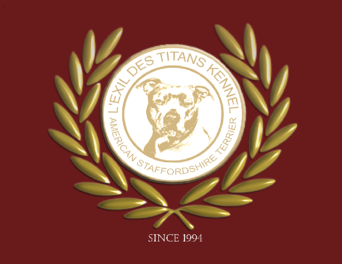 Elevage L'EXIL DES TITANS American staff*