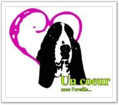 Un Coeur Sous l'Oreille sauvetage de Basset hound *