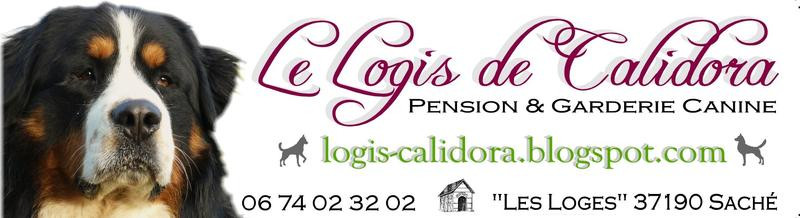 LE LOGIS DE CALIDORA Pension canine *