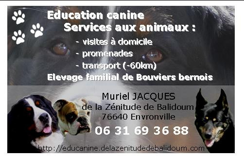 Muriel JACQUES education canine services aux animaux*
