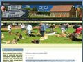 CECA 80 club canin abbeville*
