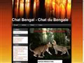 Forum sur le CHAT BENGAL *