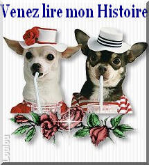 Elevage DES HERCULES DE FONT BOUILLANT Yorkshire, Chihuahua, chien nu, Dogue de Bordeaux *