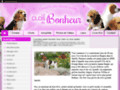 Elevage DU CLOS DU BONHEUR Beagle