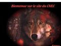 Club Nantais d Education Canine *
