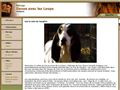 Elevage DANSE AVEC LES LOUPS chien ariegois