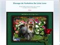 Elevage DE LIXIE LOVE Yorkshire