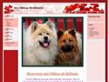 Elevage DES DELICES DE BELTAINES eurasier