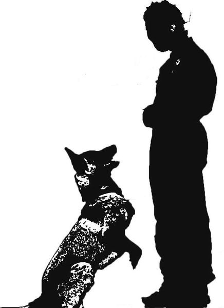 DOGINSTITUTION dressage formation*