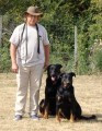 Elevage DOMAINE DU PETIT GOBERT Beauceron Schnauzer*