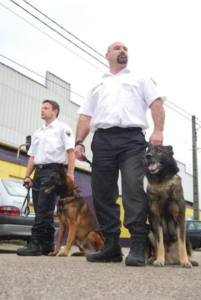 IESC Formation agent conducteur de chien