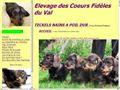 Elevage DES COEURS FIDELES DU VAL Teckel nain poil dur *