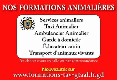 Formations animalières GTAAF