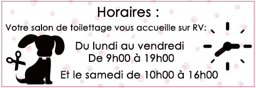 Salon de toilettage & massage canin BULLE DE POIL*