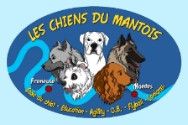 Education canine LES CHIENS DU MANTOIS *