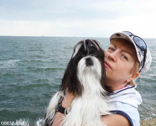 Elevage ODESSA JOY Shih-tzu Yorkshire terrier Ukraine*