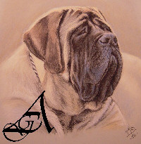 Elevage de LA GRANDE ALZINE mastiff