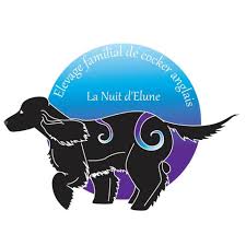 Elevage LA NUIT D ELUNE Cocker Anglais et pension canine de la nuit d'Elune*