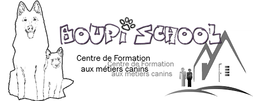 BOUPI SCHOOL Formation aux Métiers du chien *