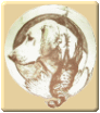 Retriever Club de France labrador golden retriever flat-coated,curly coated