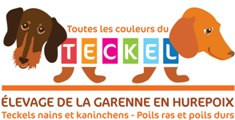 Elevage GARENNE EN HUREPOIX Teckels nains kaninchen