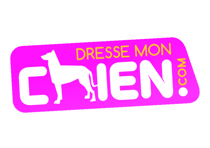 DRESSE MON CHIEN .COM Éducateur canin comportementaliste*