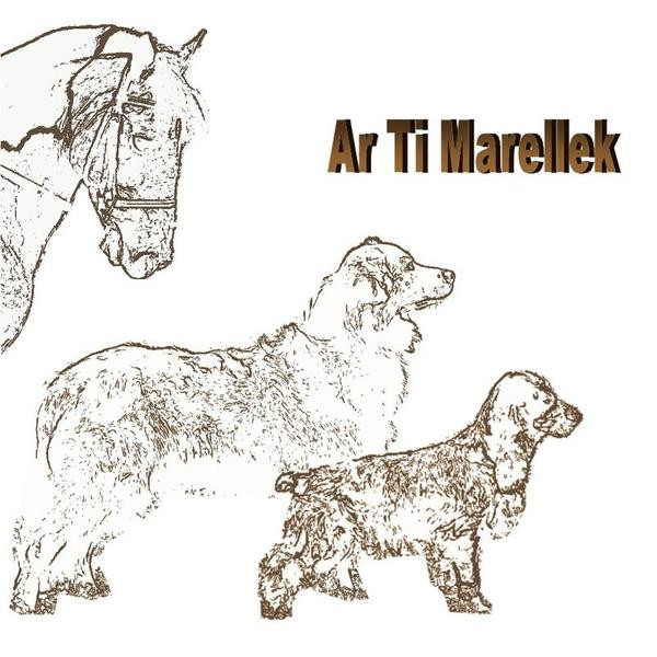 Elevage AR TI MARELLEK Cocker Anglais £