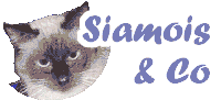 Siamois and Co forum sur les chats